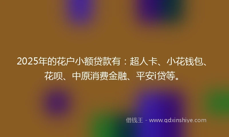 2025年的花户小额贷款有：超人卡、小花钱包、花呗、中原消费金融、平安i贷等。