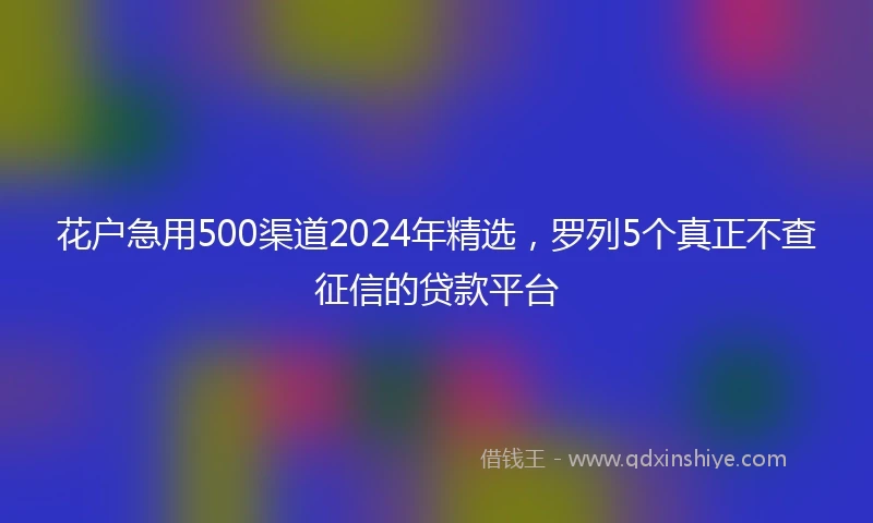 花户急用500渠道2024年精选，罗列5个真正不查征信的贷款平台