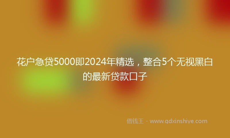 花户急贷5000即2024年精选，整合5个无视黑白的最新贷款口子