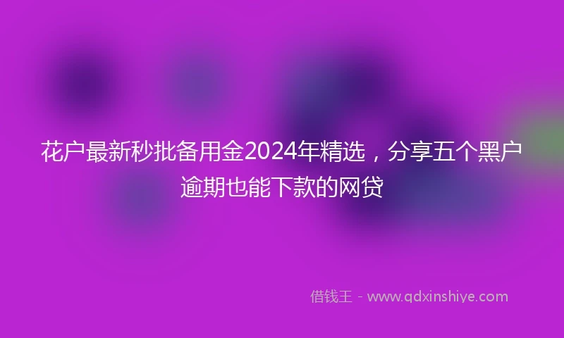 花户最新秒批备用金2024年精选，分享五个黑户逾期也能下款的网贷