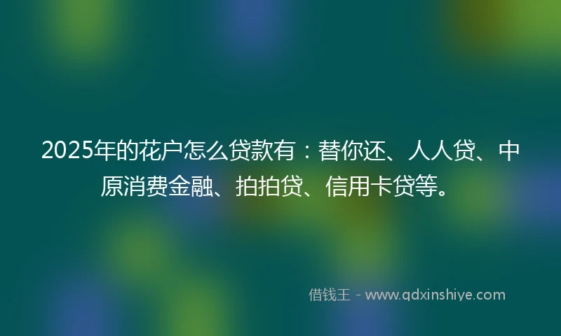 2025年的花户怎么贷款有:替你还、人人贷、中原消费金融、拍拍贷、信用卡贷等。