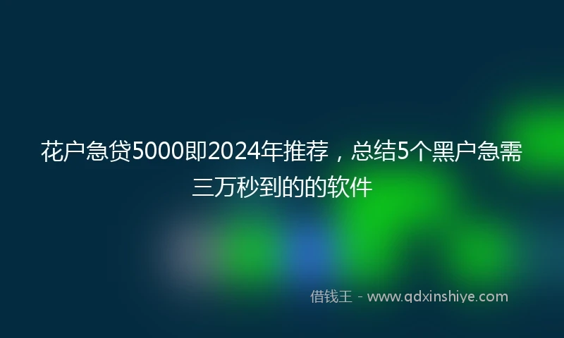 花户急贷5000即2024年推荐，总结5个黑户急需三万秒到的的软件