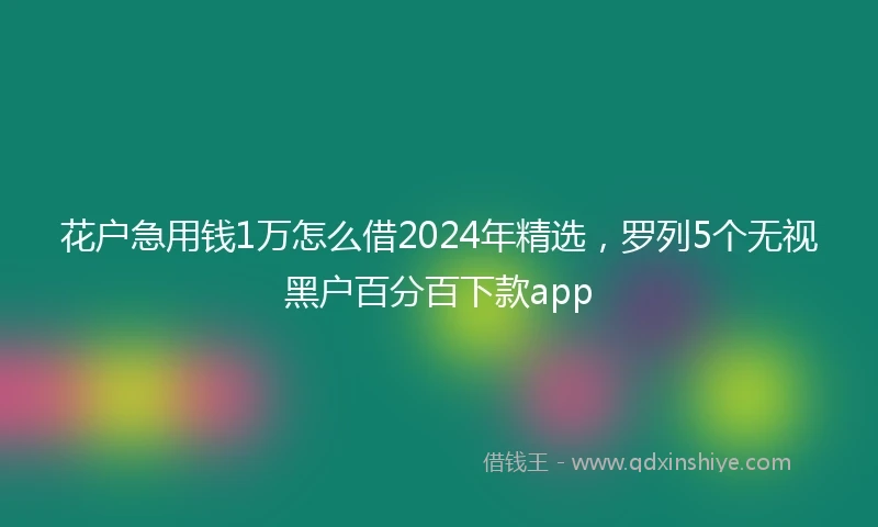 花户急用钱1万怎么借2024年精选，罗列5个无视黑户百分百下款app