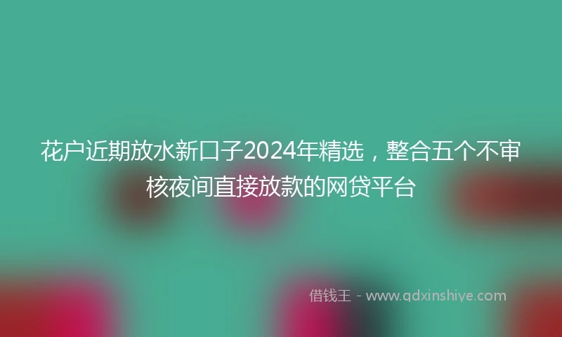 花户近期放水新口子2024年精选，整合五个不审核夜间直接放款的网贷平台