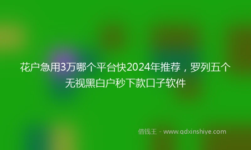 花户急用3万哪个平台快2024年推荐，罗列五个无视黑白户秒下款口子软件