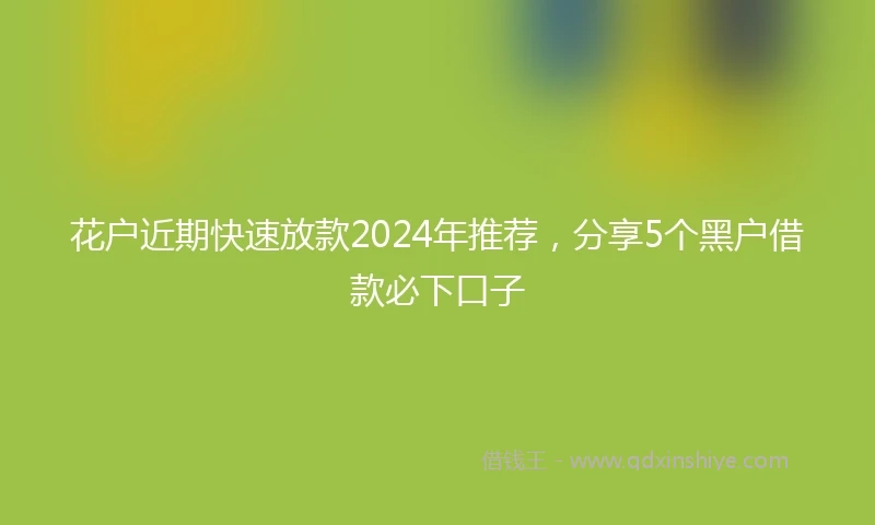 花户近期快速放款2024年推荐，分享5个黑户借款必下口子