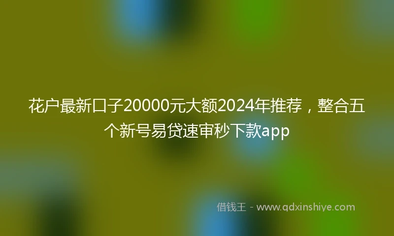 花户最新口子20000元大额2024年推荐，整合五个新号易贷速审秒下款app