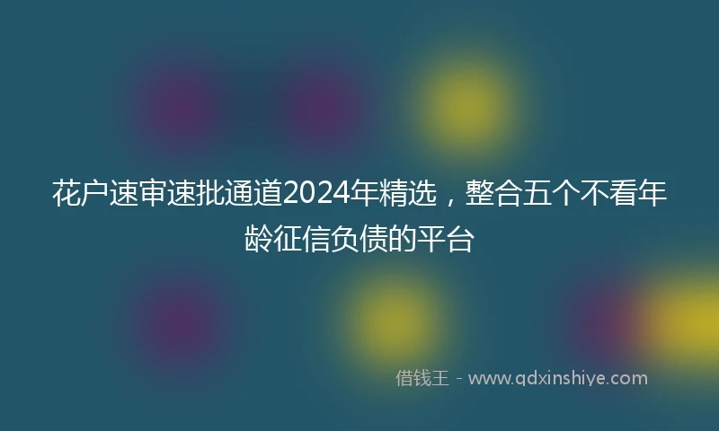 花户速审速批通道2024年精选，整合五个不看年龄征信负债的平台
