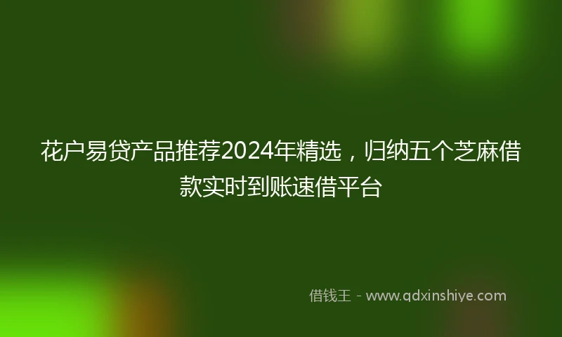 花户易贷产品推荐2024年精选，归纳五个芝麻借款实时到账速借平台