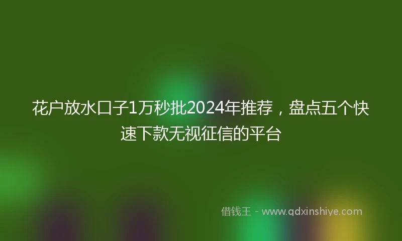 花户放水口子1万秒批2024年推荐，盘点五个快速下款无视征信的平台