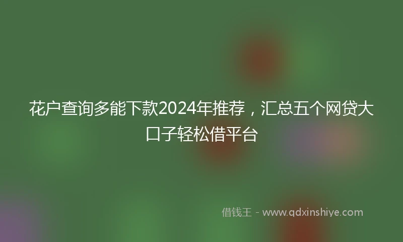 花户查询多能下款2024年推荐，汇总五个网贷大口子轻松借平台