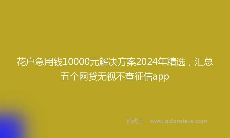 花户急用钱10000元解决方案2024年精选,汇总五个网贷无视不查征信app