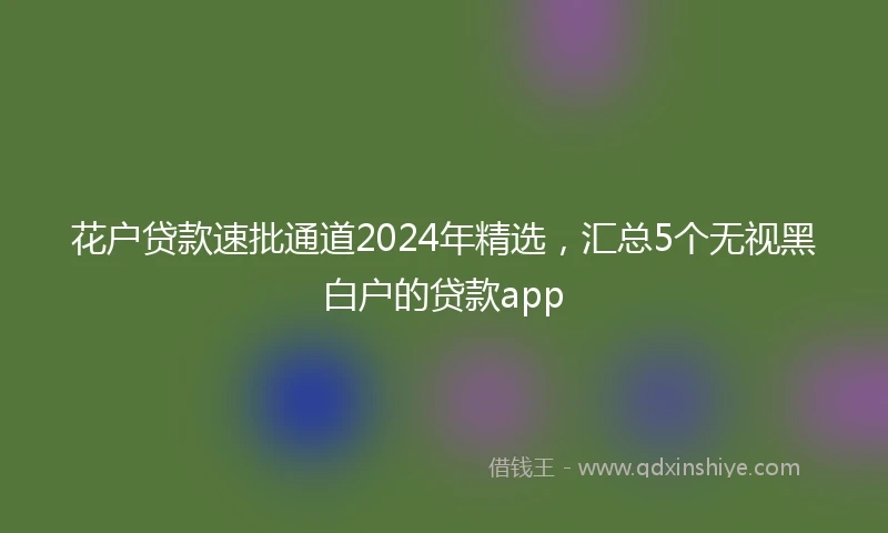 花户贷款速批通道2024年精选，汇总5个无视黑白户的贷款app