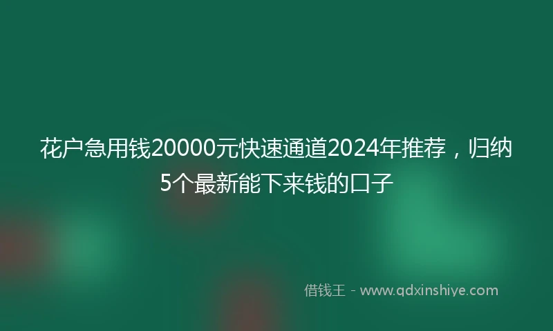 花户急用钱20000元快速通道2024年推荐，归纳5个最新能下来钱的口子