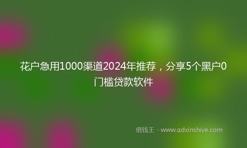 花户急用1000渠道2024年推荐，分享5个黑户0门槛贷款软件