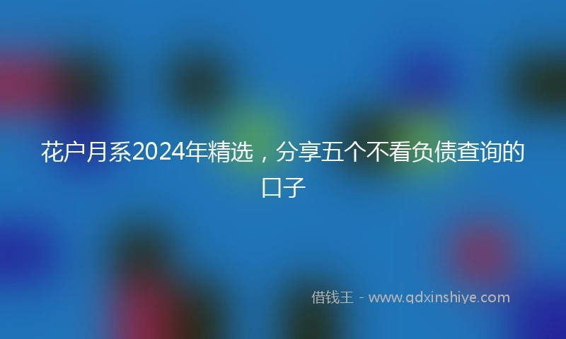 花户月系2024年精选，分享五个不看负债查询的口子
