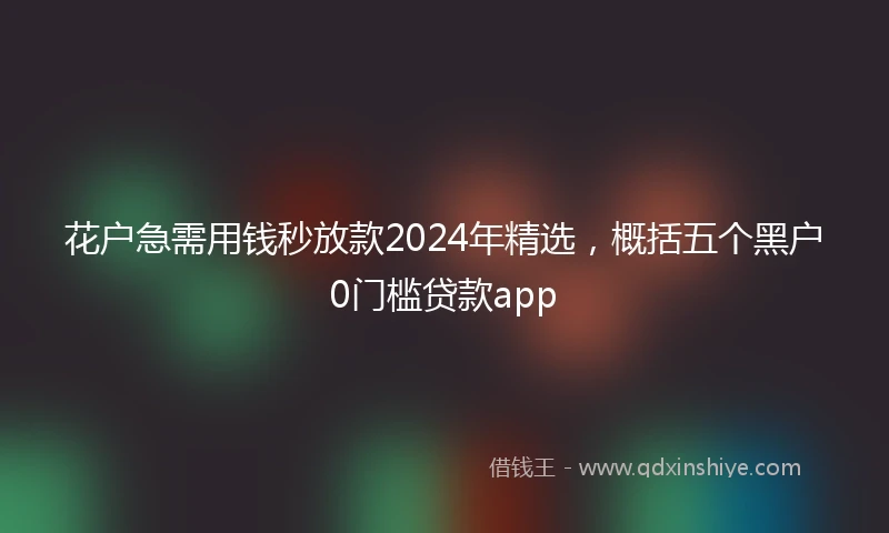 花户急需用钱秒放款2024年精选，概括五个黑户0门槛贷款app