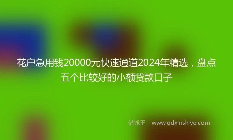 花户急用钱20000元快速通道2024年精选,盘点五个比较好的小额贷款口子