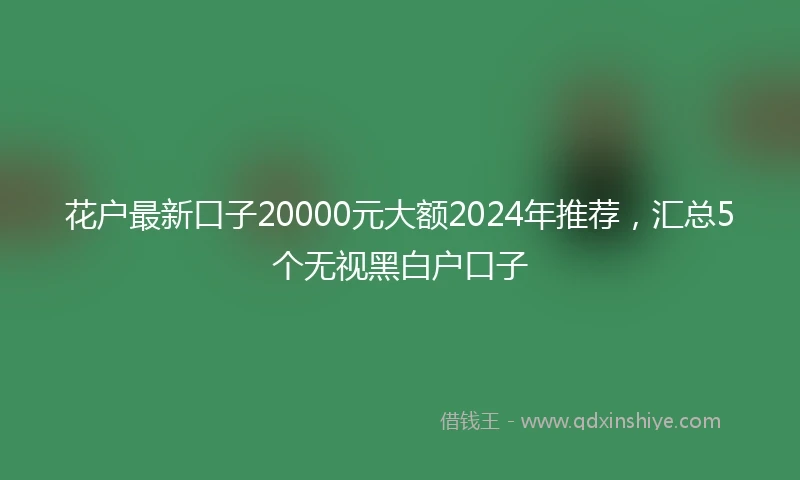 花户最新口子20000元大额2024年推荐，汇总5个无视黑白户口子