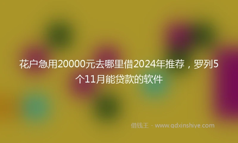 花户急用20000元去哪里借2024年推荐，罗列5个11月能贷款的软件