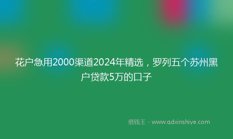 花户急用2000渠道2024年精选，罗列五个苏州黑户贷款5万的口子