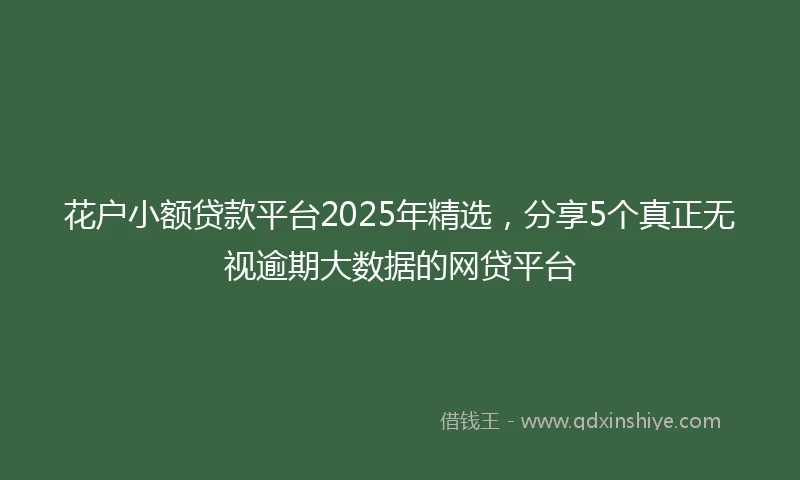 花户小额贷款平台2025年精选，分享5个真正无视逾期大数据的网贷平台
