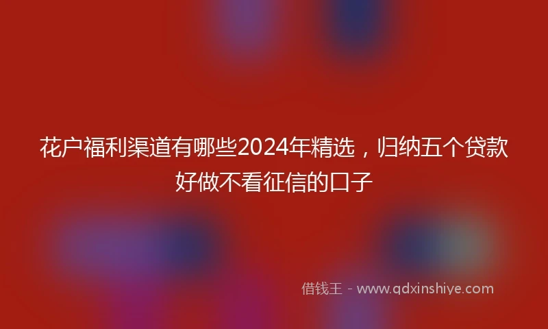 花户福利渠道有哪些2024年精选，归纳五个贷款好做不看征信的口子