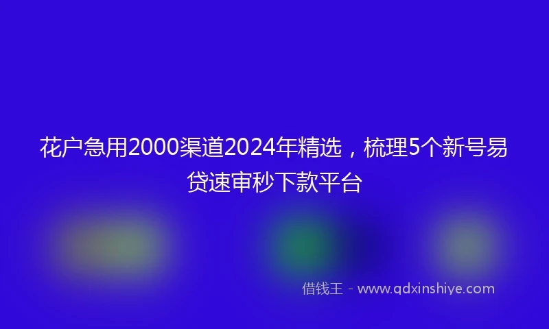 花户急用2000渠道2024年精选，梳理5个新号易贷速审秒下款平台