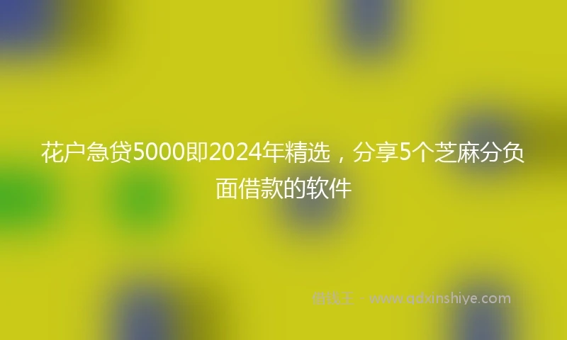 花户急贷5000即2024年精选，分享5个芝麻分负面借款的软件