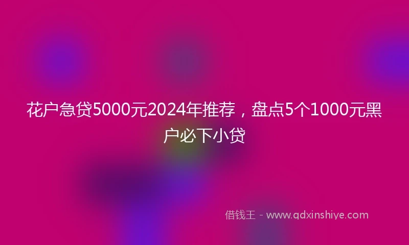 花户急贷5000元2024年推荐，盘点5个1000元黑户必下小贷