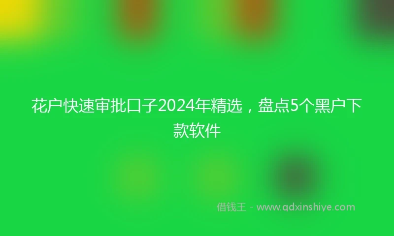 花户快速审批口子2024年精选，盘点5个黑户下款软件