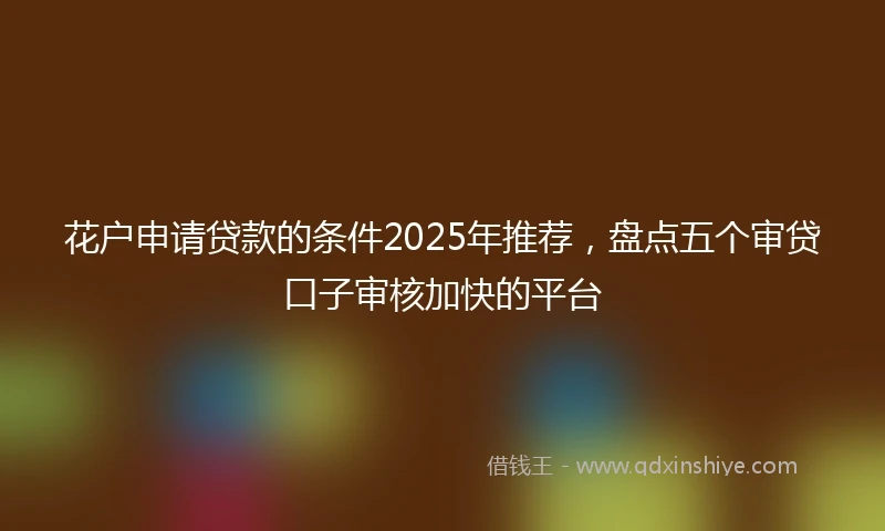 花户申请贷款的条件2025年推荐，盘点五个审贷口子审核加快的平台