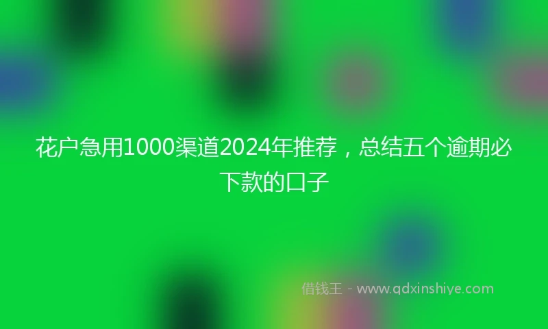 花户急用1000渠道2024年推荐，总结五个逾期必下款的口子