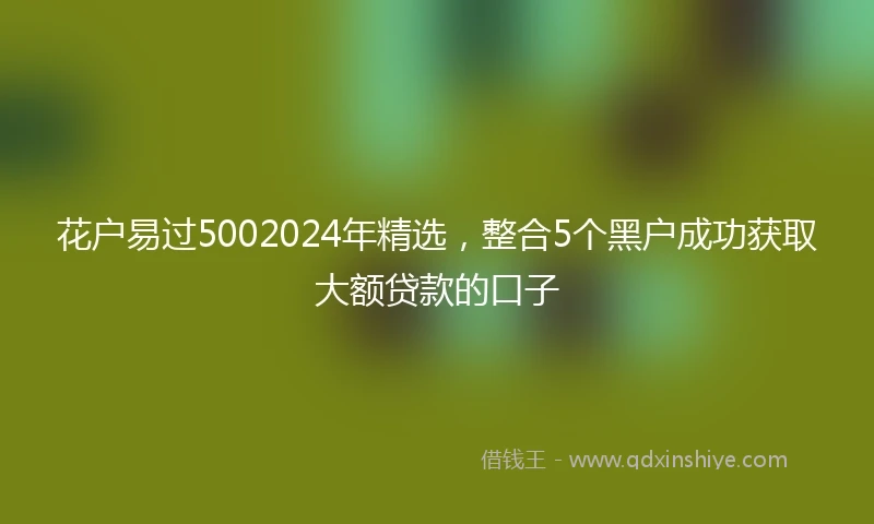 花户易过5002024年精选，整合5个黑户成功获取大额贷款的口子