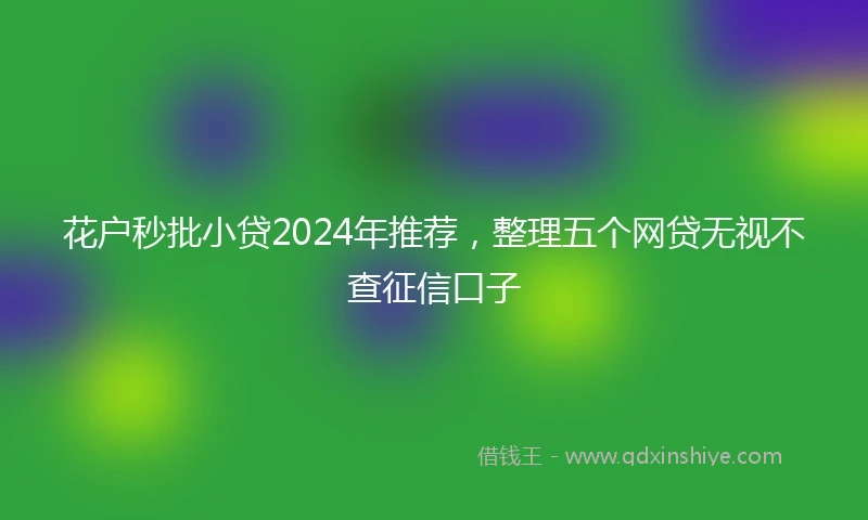花户秒批小贷2024年推荐，整理五个网贷无视不查征信口子