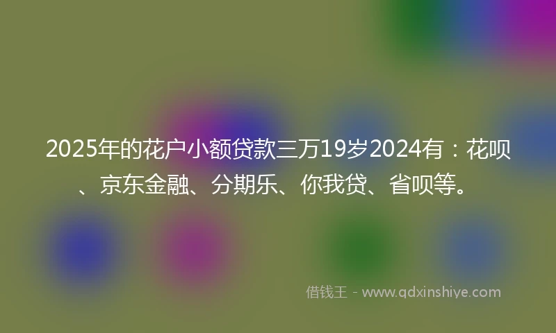 2025年的花户小额贷款三万19岁2024有：花呗、京东金融、分期乐、你我贷、省呗等。