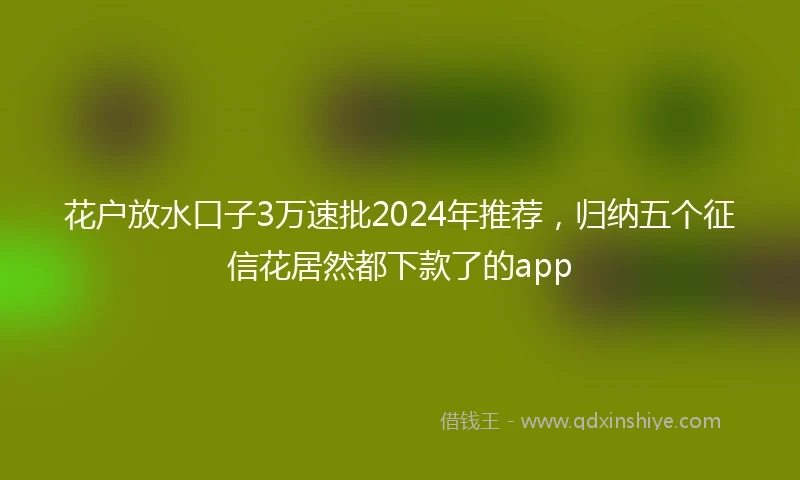 花户放水口子3万速批2024年推荐，归纳五个征信花居然都下款了的app