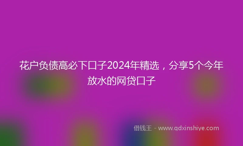 花户负债高必下口子2024年精选，分享5个今年放水的网贷口子