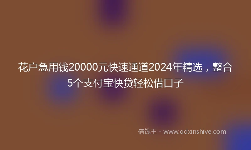 花户急用钱20000元快速通道2024年精选，整合5个支付宝快贷轻松借口子