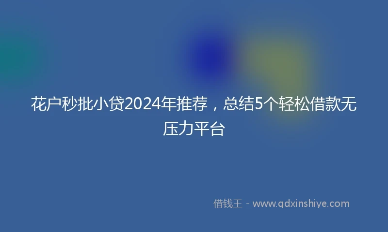花户秒批小贷2024年推荐，总结5个轻松借款无压力平台