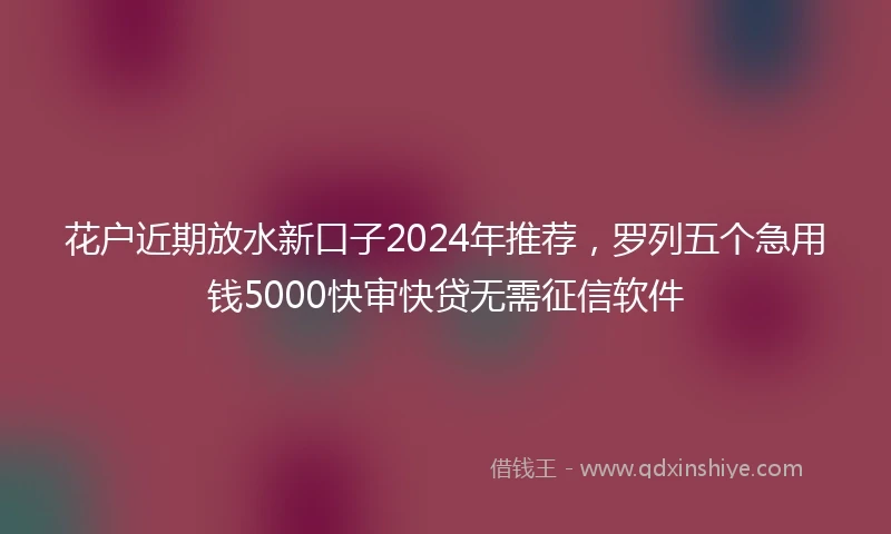 花户近期放水新口子2024年推荐，罗列五个急用钱5000快审快贷无需征信软件