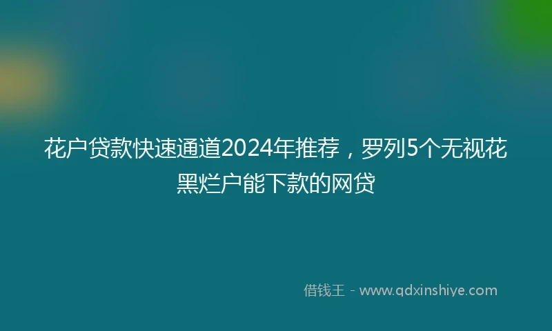 花户贷款快速通道2024年推荐，罗列5个无视花黑烂户能下款的网贷