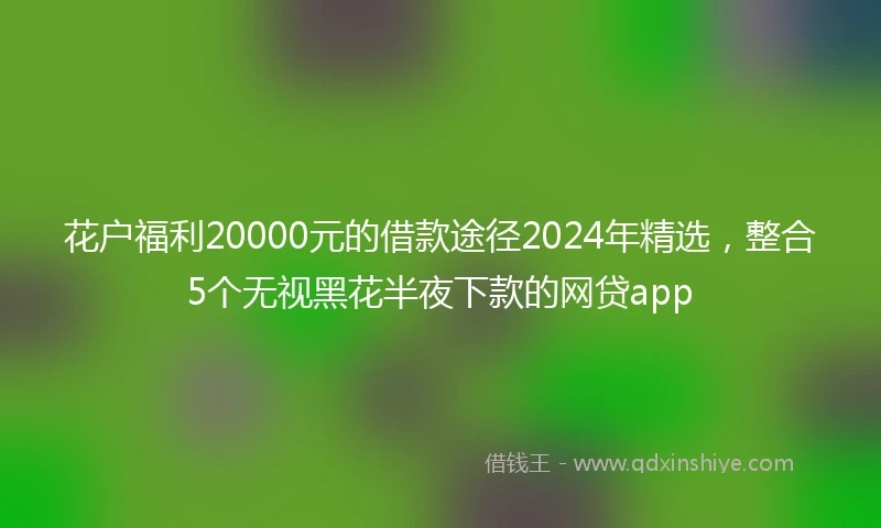 花户福利20000元的借款途径2024年精选，整合5个无视黑花半夜下款的网贷app