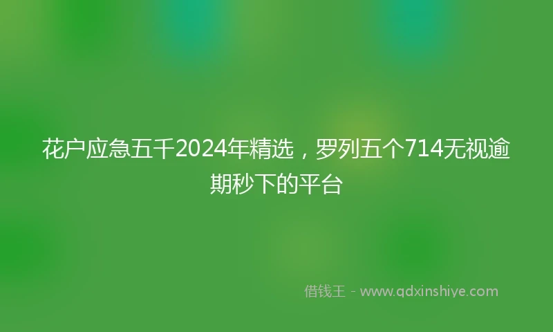 花户应急五千2024年精选，罗列五个714无视逾期秒下的平台