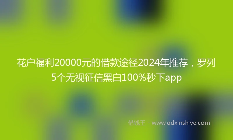 花户福利20000元的借款途径2024年推荐，罗列5个无视征信黑白100%秒下app