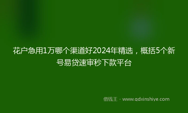 花户急用1万哪个渠道好2024年精选，概括5个新号易贷速审秒下款平台