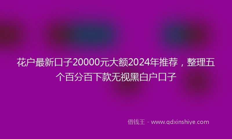 花户最新口子20000元大额2024年推荐，整理五个百分百下款无视黑白户口子