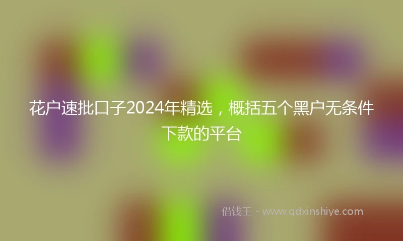 花户速批口子2024年精选，概括五个黑户无条件下款的平台