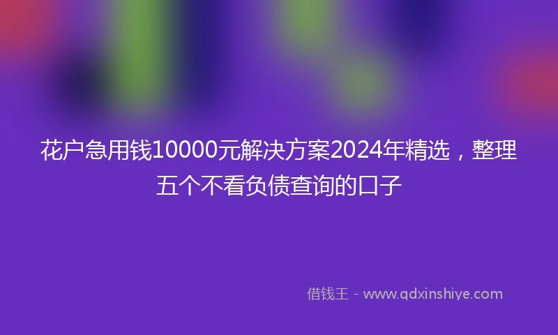 花户急用钱10000元解决方案2024年精选，整理五个不看负债查询的口子