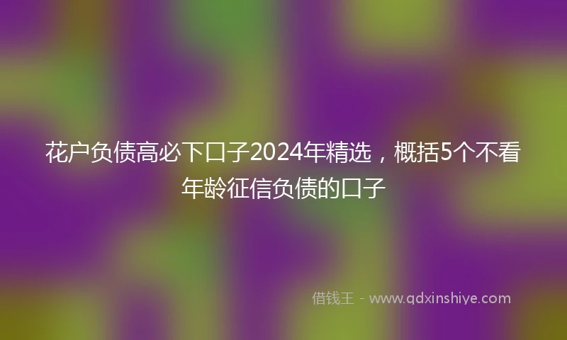花户负债高必下口子2024年精选，概括5个不看年龄征信负债的口子